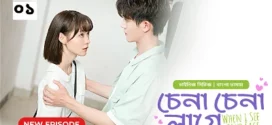Chena Chena Lage-When I See Your Face (2024) S01E01-03 Bengali Dubbed ORG WEB-DL H264 AAC 1080p 720p 480p Download