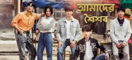 Reply 1988 (2015) S01E01-10 Bengali Dubbed ORG WEB-DL H264 AAC 720p 480p Download