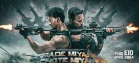 Bade Miyan Chote Miyan (2024) Hindi HDTS H264 AAC 1080p 720p 480p Download