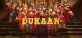 Dukaan (2024) Hindi HDTSRip x264 AAC 1080p 720p 480p Download