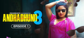Andha Dhundh (2024) S03E01-02 Hindi PrimeShots Hot Web Series 1080p Watch Online