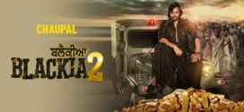 Blackia 2 (2024) Punjabi CHTV WEB-DL H264 AAC 2160p 1080p 720p 480p ESub