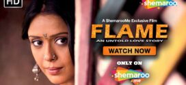 Flame An Untold Love Story (2014) Hindi SM WEB-DL H264 AAC 1080p 720p 480p Download