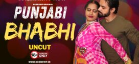 Punjabi Bhabhi (2024) Hindi Uncut NeonX Short Film 1080p Watch Online