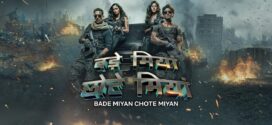 Bade Miyan Chote Miyan (2024) Hindi Netflix WEB-DL H264 AAC 1080p 720p 480p ESub
