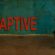 Captive (2013) Dual Audio [Hindi-English] WEB-DL H264 AAC 720p 480p ESub