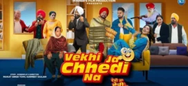Vekhi ja chhedi na (2024) Punjabi CHTV WEB-DL H264 AAC 2160p 1080p 720p 480p ESub