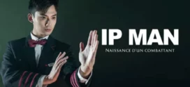 Young Ip Man Crisis Time (2020) Dual Audio [Hindi-Chinese] WEB-DL H264 AAC 1080p 720p 480p ESub