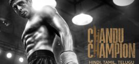 Chandu Champion (2024) Hindi AMZN WEB-DL H265 AAC 2160p 1080p 720p 480p ESub