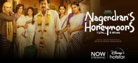 Nagendrans Honeymoons (2024) S01 Dual Audio [Bengali-Hindi] HS WEB-DL H264 AAC 1080p 720p 480p ESub