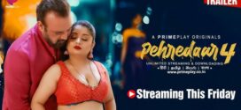 Pehredaar (2023) S04 Hindi PrimePlay WEB-DL H264 AAC 1080p 720p 480p Download