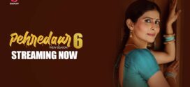 Pehredaar (2024) S06 Hindi BigPlay WEB-DL H264 AAC 1080p 720p 480p Download