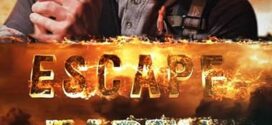 Survive (2021) Dual Audio [Hindi-English] WEB-DL H264 AAC 720p 480p ESub