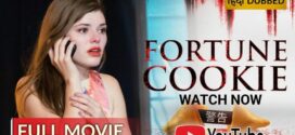 Fortune Cookie (2016) Dual Audio [Hindi-English] WEB-DL H264 AAC 720p 480p ESub