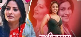 Vasheekaran (2024) S01 Hindi PrimePlay WEB-DL H264 AAC 1080p 720p 480p ESub