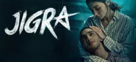 Jigra (2024) Hindi HDTS x264 AAC 1080p 720p 480p Download
