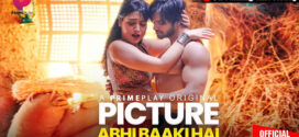 Picture Abhi Baaki Hai (2023) S01 Hindi PrimePlay H264 AAC 1080p 720p 480p ESub