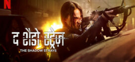 The Shadow Strays (2024) Dual Audio [Hindi-English] NetFlix WEB-DL H264 AAC 1080p 720p 480p ESub