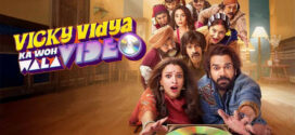 Vicky Vidya ka Woh Wala Video (2024) Hindi PreDVD x264 AAC 1080p 720p 480p Download