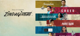 Zindaginama (2024) S01 Hindi SonyLiv WEB-DL H264 AAC 2160p 1080p 720p 480p ESub