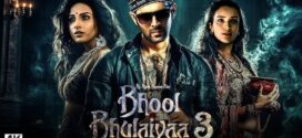 Bhool Bhulaiyaa 3 (2024) Hindi HQ HDTC x264 AAC 1080p 720p 480p Download