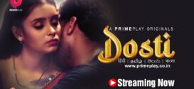 Dosti (2023) S01 Hindi PrimePlay WEB-DL H264 AAC 1080p 720p 480p ESub