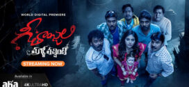 Geethanjali Malli Vachindhi (2024) Dual Audio [Hindi-Telugu] WEB-DL H264 AAC 1080p 720p 480p ESub