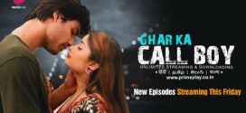 Ghar Ka Call Boy (2023) S01 Hindi PrimePlay WEB-DL H264 AAC 1080p 720p 480p ESub