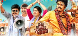 Vajra Kavachadhara Govinda (2019) Uncut Dual Audio [Hindi-Telugu] WEB-DL H264 AAC 1080p 720p 480p ESub