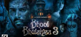 Bhool Bhulaiyaa 3 (2024) Hindi HDRip H264 AAC 1080p 720p 480p Download