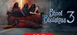 Bhool Bhulaiyaa 3 (2024) Hindi NetFlix WEB-DL H264 AAC 1080p 720p 480p ESub