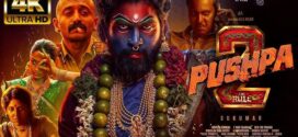 Pushpa 2 The Rule (2024) Dual Audio [Hindi-Telugu] HDTC H264 AAC 1080p 720p 480p Download