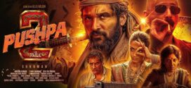Pushpa 2 The Rule (2024) Dual Audio [Hindi Clean-Tamil] HQ HDRip H264 AAC 1080p 720p 480p Download