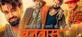 Vanvaas (2024) Hindi HDTC x264 AAC 1080p 720p 480p Download