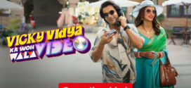 Vicky Vidya ka Woh Wala Video (2024) Hindi NetFlix H264 AAC 1080p 720p 480p ESub