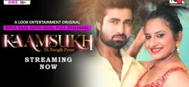 Kaam Sukh (2025) S01E01-03 Hindi Lookentertainment WEB-DL H264 AAC 1080p 720p 480p ESub