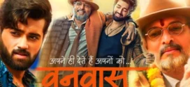 Vanvaas (2024) Hindi HDRip x264 AAC 1080p 720p 480p Download