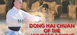 Dong Hai Chuan of the Hundred Boxing (2018) Dual Audio [Hindi-Chinese] WEB-DL H264 AAC 1080p 720p 480p ESub