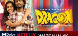 Dragon (2025) Dual Audio [Hindi HQ-Tamil] HDRip H264 AAC 1080p 720p 480p Download
