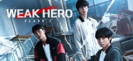 Weak Hero (2025) S01 Dual Audio [Hindi-Korean] NetFlix WEB-DL H264 AAC 1080p 720p 480p ESub