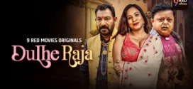 Dulhe Raja (2025) S01 Hindi 9RedMovies WEB-DL H264 AAC 1080p 720p 480p Download