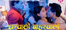 Gharwali Baharwali (2025) S01 Hindi Hulchul WEB-DL H264 AAAC 1080p 720p 480p Download