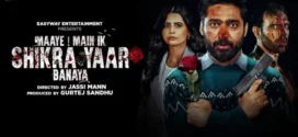 Maaye Main Ik Shikra Yaar Banaya (2025) S01 Punjabi CHTV WEB-DL H264 AAC4K 1080p 720p 480p ESub