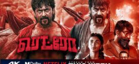 Retro (2025) Dual Audio [Hindi ORG-Tamil] NetFlix WEB-DL H264 AAC 1080p 720p 480p ESub