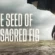 The Seed of the Sacred Fig (2024) Dual Audio [Hindi-English] AMZN WEB-DL H264 AAC 1080p 720p 480p ESub