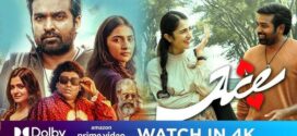 Ace (2025) Tamil AMZN WEB-DL H264 AAC 4K 1080p 720p 480p ESub