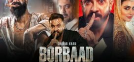 Borbaad (2025) Bengali Chorki WEBRip H264 AAC 1080p 720p 480p ESub