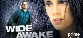Dead Awake (2001) Dual Audio [Hindi-English] WEB-DL H264 AAC 1080p 720p 480p ESub