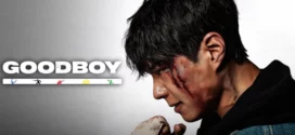 Good Boy (2025) S01E01-02 Dual Audio [Hindi-Korean] AMZN WEB-DL H264 AAC 1080p 720p ESub