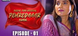 Pehredaaar Again (2025) S01E01-03 Hindi BulBulPlay WEB-DL H264 AAC 1080p 720p 480p Download